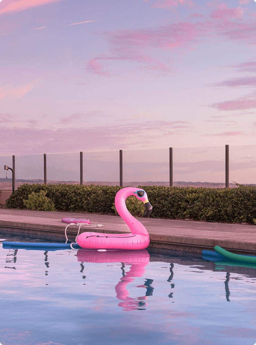 Pink flamingo float drifting in a pool at sunset near a fenced backyard.